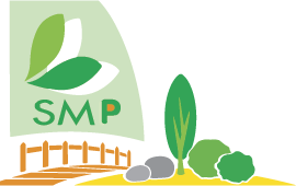 logo smp