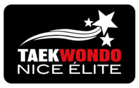 logo taekwondo nice elite